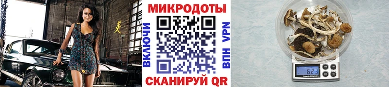 Купить закладки  Арск  Галлюциногенные грибы ЛСД 